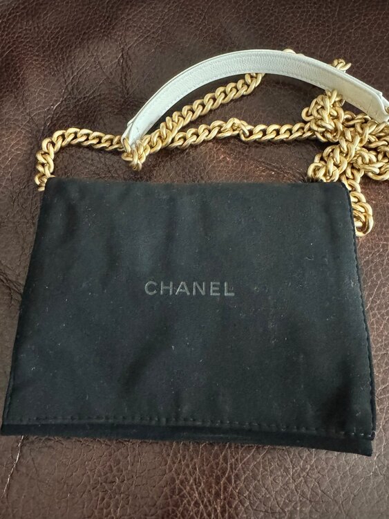 チェーンウォレット（ブランドバッグ）の商品画像 - 査定依頼日：2025年5月2日 - 最高査定価格：230,000円