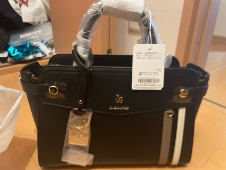 2420125231（ブランドバッグ）の商品画像 - 査定依頼日：2026年2月25日 - 最高査定価格：550円