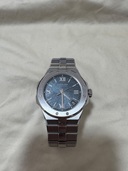 アルパインイーグル