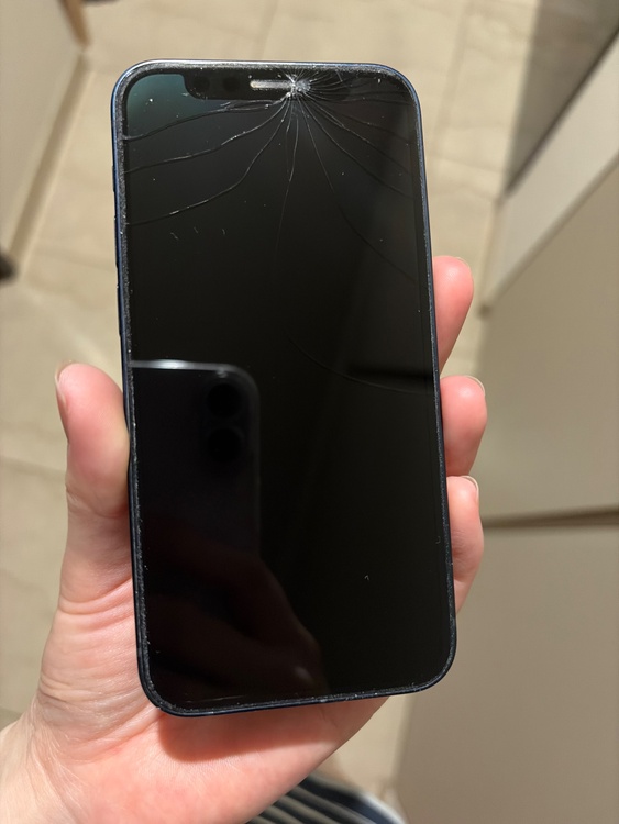 iPhone 12 mini 256GB SIMフリー（スマホ）の商品画像 - 査定依頼日：2026年4月1日 - 最高査定価格：27,000円