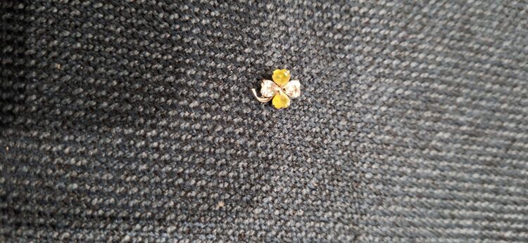 ペンダントトップ（金・貴金属）の商品画像 - 査定依頼日：2025年8月3日 - 最高査定価格：15,000円