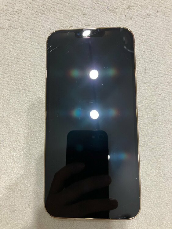 iPhone 13 Pro Max 1TB SIMフリー（スマホ）の商品画像 - 査定依頼日：2026年4月2日 - 最高査定価格：70,000円