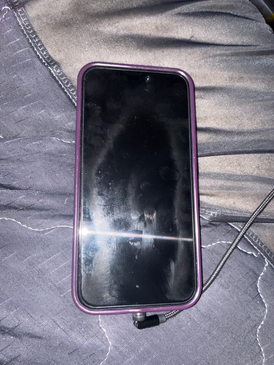 iPhone iPhone 15 Plus 128GB Softbank（スマホ）の商品画像 - 査定依頼日：2026年10月4日 - 最高査定価格：66,000円