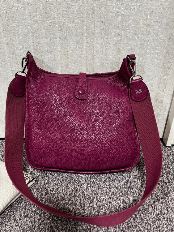 エブリン29（ブランドバッグ）の商品画像 - 査定依頼日：2025年1月5日 - 最高査定価格：200,000円