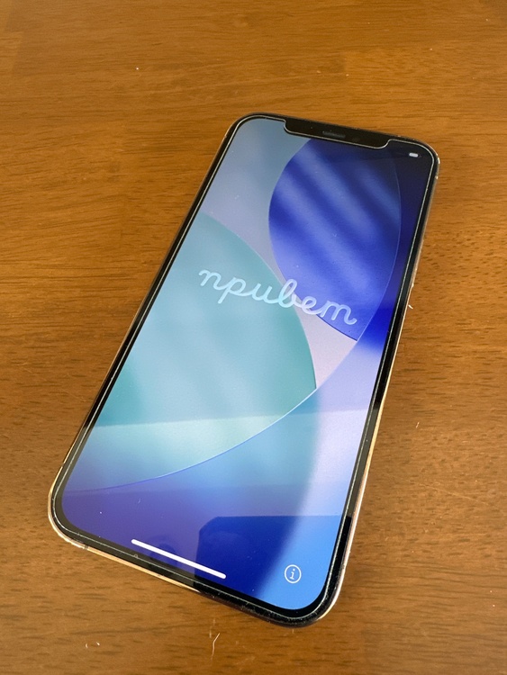 iPhone iPhone 12 Pro 256GB SIMフリー（スマホ）の商品画像 - 査定依頼日：2026年9月30日 - 最高査定価格：35,000円