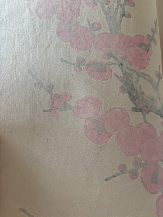 紅梅（美術品・骨董品）の商品画像 - 査定依頼日：2026年6月29日 - 最高査定価格：2,000円