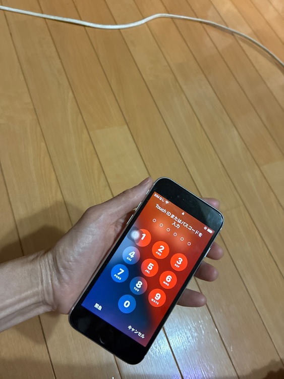 iPhone iPhone SE (第 2 世代) 128GB SIMフリー（スマホ）の商品画像 - 査定依頼日：2026年9月18日 - 最高査定価格：4,500円