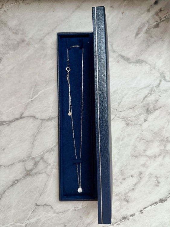 ロイヤル・アッシャー プラチナ ダイヤモンドネックレス JPA0274BP（宝石）の商品画像 - 査定依頼日：2026年7月15日 - 最高査定価格：70,000円