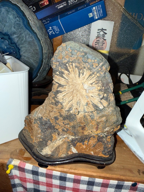 わからない（美術品・骨董品）の商品画像 - 査定依頼日：2026年3月1日 - 最高査定価格：100,000円