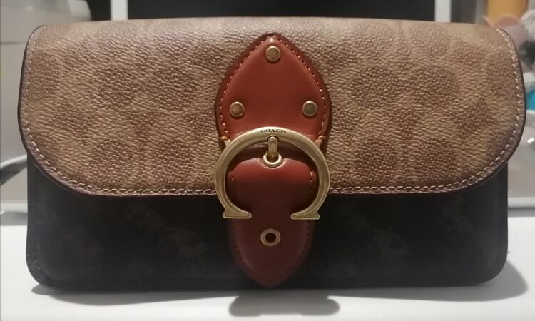 ショルダーバッグ（ブランドバッグ）の商品画像 - 査定依頼日：2025年7月17日 - 最高査定価格：10,000円