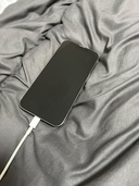 iPhone 13 Pro 128GB Softbank（スマホ）の商品画像 - 査定依頼日：2026年4月7日 - 最高査定価格：53,000円