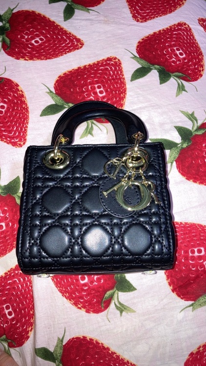 ディオール  （ブランドバッグ）の商品画像 - 査定依頼日：2025年7月29日 - 最高査定価格：300,000円