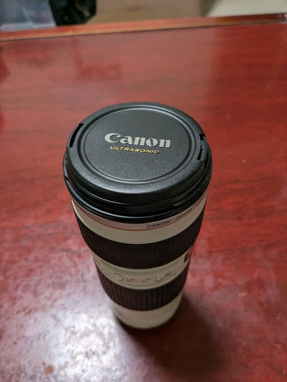 ZOOM LENS EF 70-200mm 1:4 L  USM（カメラ）の商品画像 - 査定依頼日：2026年7月1日 - 最高査定価格：35,000円