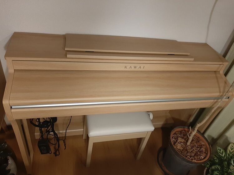 CA49（ピアノ・楽器・PA機材）の商品画像 - 査定依頼日：2025年11月29日 - 最高査定価格：3,000円