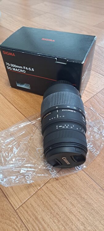 シグマ 70-300mm F4-5.6 DG MACRO（カメラ）の商品画像 - 査定依頼日：2025年10月13日 - 最高査定価格：7,000円