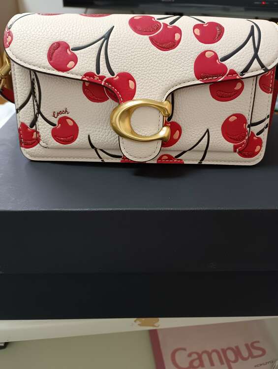 その他 コーチ （ブランドバッグ）の商品画像 - 査定依頼日：2025年1月28日 - 最高査定価格：5,000円