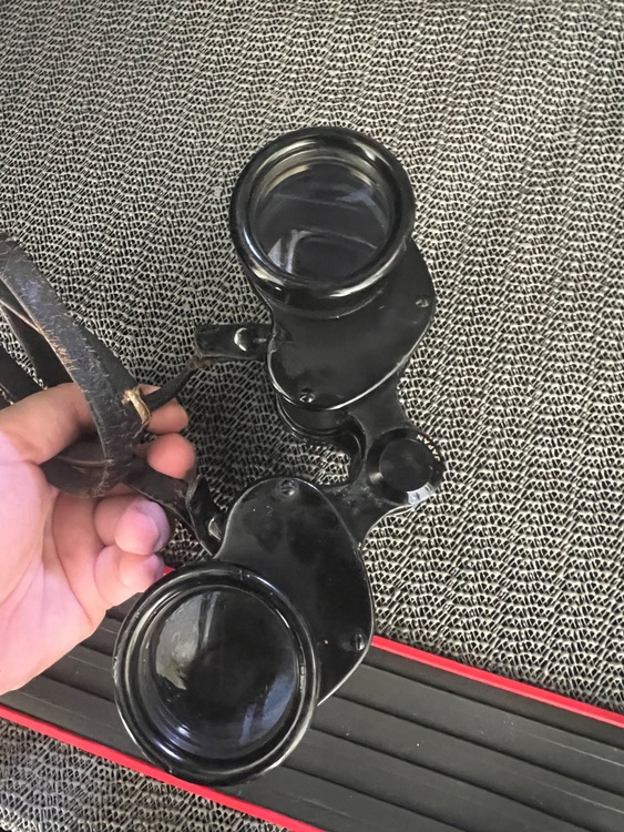 ニコン 双眼鏡（カメラ）の商品画像 - 査定依頼日：2025年6月29日 - 最高査定価格：100,000円