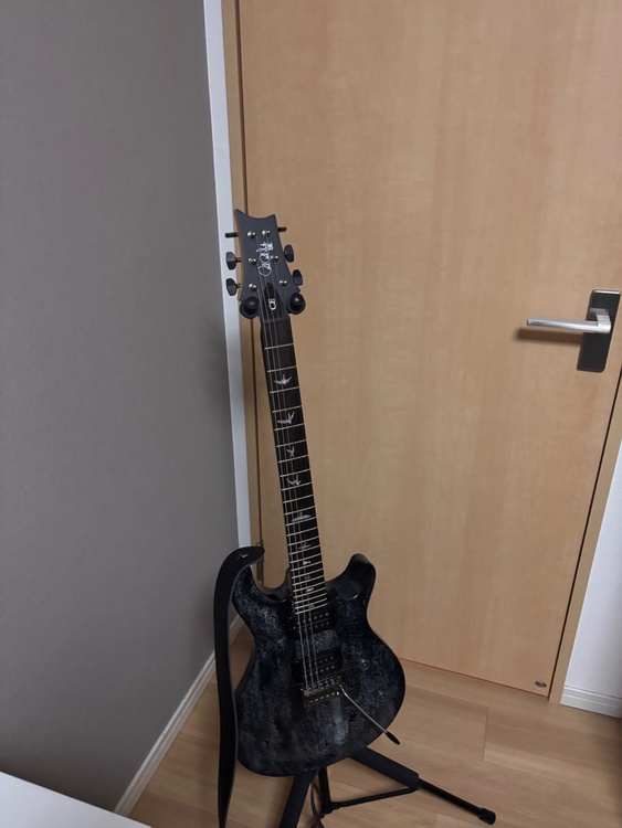 PRS SE CE 24 Standard Black Doghair（ピアノ・楽器・PA機材）の商品画像 - 査定依頼日：2026年5月7日 - 最高査定価格：50,000円