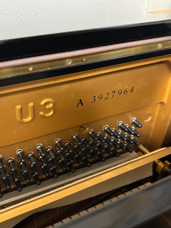 U3A3927964（ピアノ・楽器・PA機材）の商品画像 - 査定依頼日：2026年7月13日 - 最高査定価格：20,000円