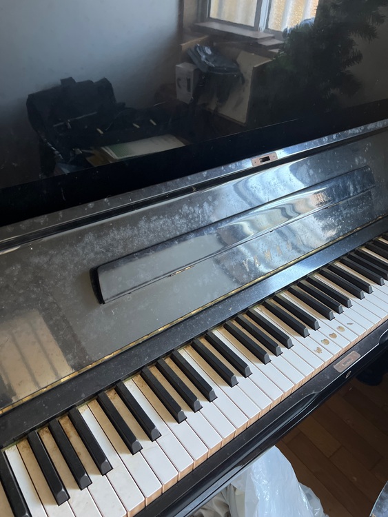 U3（ピアノ・楽器・PA機材）の商品画像 - 査定依頼日：2025年11月30日 - 最高査定価格：5,000円