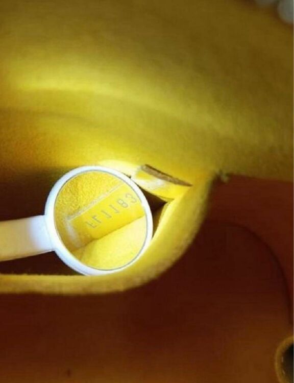 M40866 アルマBB　シトロン（ブランドバッグ）の商品画像 - 査定依頼日：2025年6月2日 - 最高査定価格：105,000円