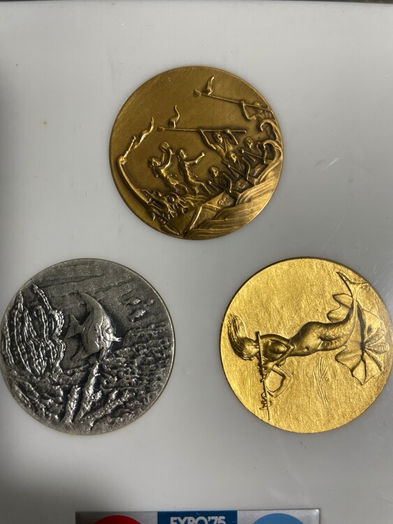 沖縄国際海洋博覧会　（金・貴金属）の商品画像 - 査定依頼日：2024年3月20日 - 最高査定価格：2,000円