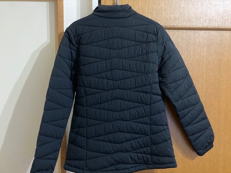 ザノースフェイス ホワイトレーベル VX HEAT ジャケット】（古着・ファッション）の商品画像 - 査定依頼日：2025年10月10日 - 最高査定価格：1,000円