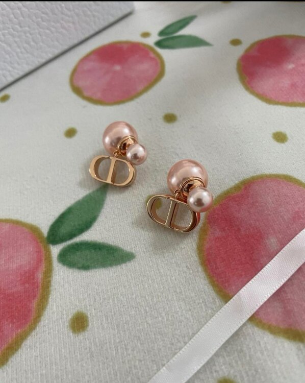 ディオール  （ブランドバッグ）の商品画像 - 査定依頼日：2025年5月22日 - 最高査定価格：40,000円