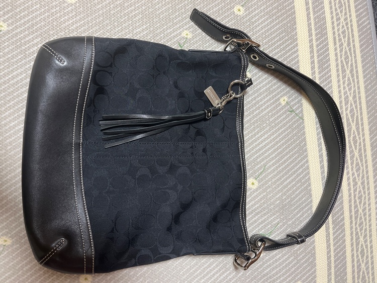 その他 コーチ （ブランドバッグ）の商品画像 - 査定依頼日：2026年3月26日 - 最高査定価格：2,500円