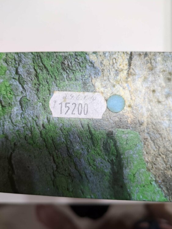 ロレックス パーペチュアルデイト（高級時計）の商品画像 - 査定依頼日：2026年9月12日 - 最高査定価格：780,000円