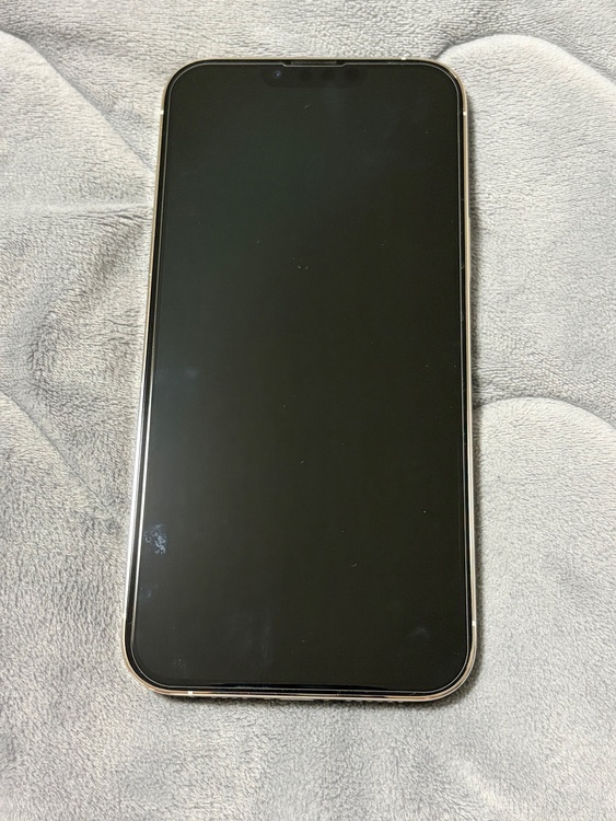 iPhone iPhone 13 Pro Max 128GB SIMフリー（スマホ）の商品画像 - 査定依頼日：2026年6月21日 - 最高査定価格：46,000円