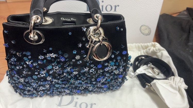 レディディオール限定カバン（ブランドバッグ）の商品画像 - 査定依頼日：2026年3月26日 - 最高査定価格：350,000円