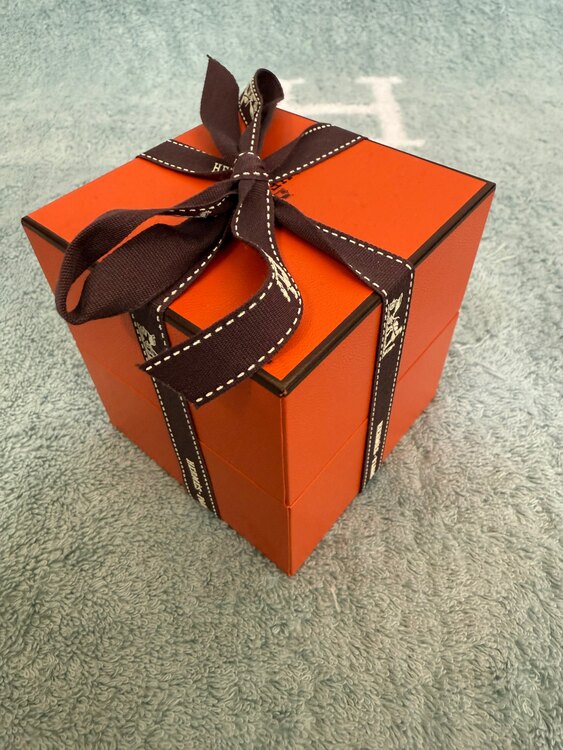 エルメス シェーヌ・ダンクル ブレスレット TGM12（金・貴金属）の商品画像 - 査定依頼日：2025年4月16日 - 最高査定価格：260,000円