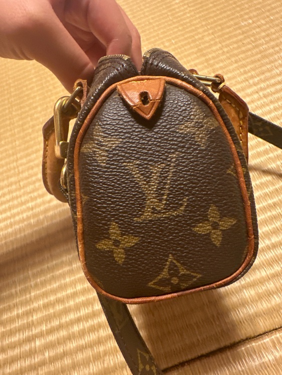 ルイヴィトン スピーディー （ブランドバッグ）の商品画像 - 査定依頼日：2025年10月7日 - 最高査定価格：100,000円