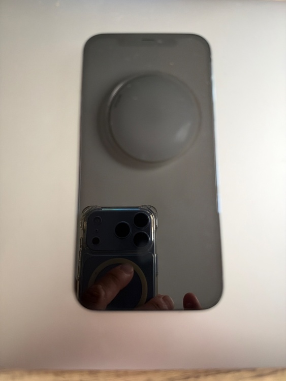 iPhone iPhone 12 Pro 256GB SIMフリー（スマホ）の商品画像 - 査定依頼日：2026年10月19日 - 最高査定価格：35,000円