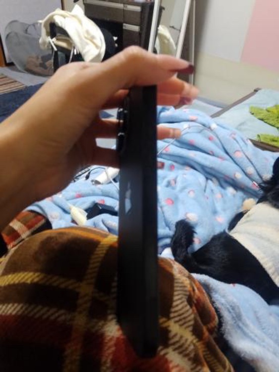 iPhone 16 Pro Max 1TB 楽天モバイル（スマホ）の商品画像 - 査定依頼日：2025年11月13日 - 最高査定価格：100,000円