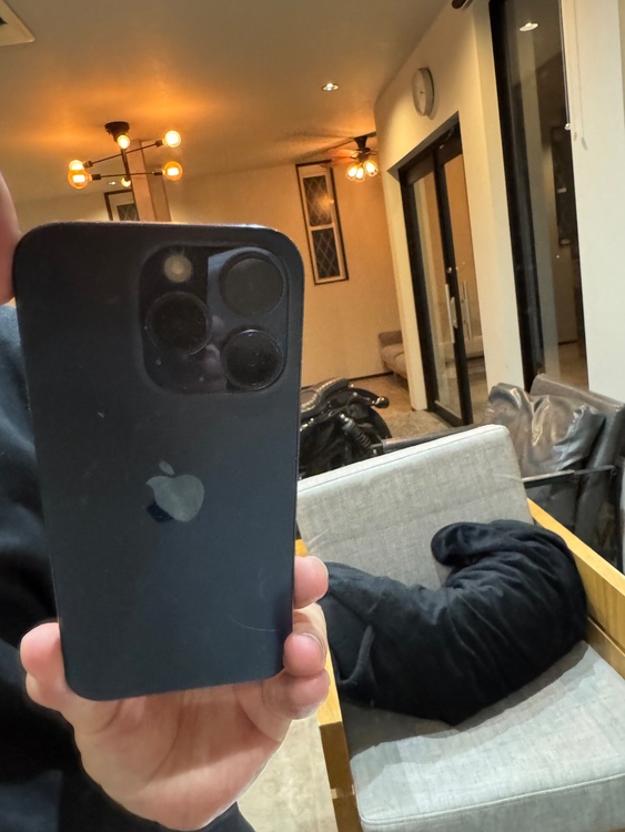 iPhone iPhone 15 Pro 256GB docomo（スマホ）の商品画像 - 査定依頼日：2026年7月31日 - 最高査定価格：89,000円
