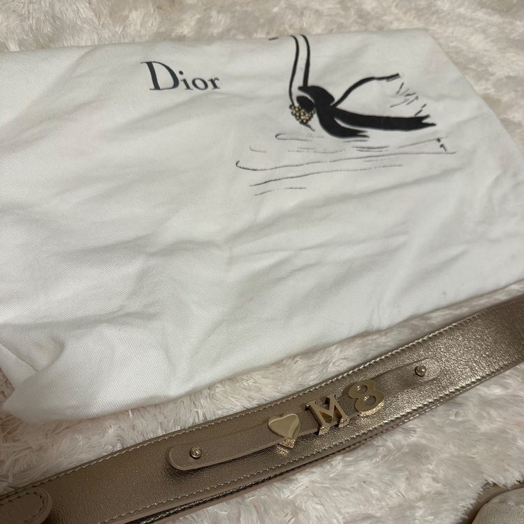 レディーディオール　ゴールド（ブランドバッグ）の商品画像 - 査定依頼日：2026年4月14日 - 最高査定価格：250,000円