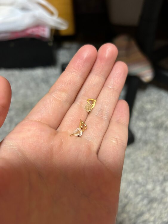 ピアス（金・貴金属）の商品画像 - 査定依頼日：2025年4月27日 - 最高査定価格：3,000円