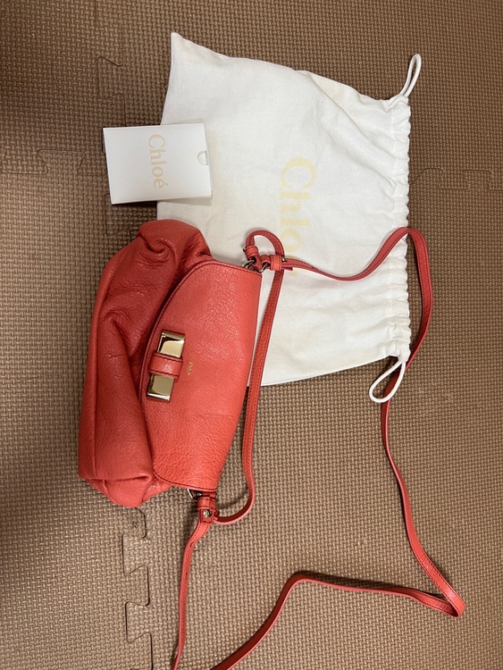 分からない（ブランドバッグ）の商品画像 - 査定依頼日：2025年10月22日 - 最高査定価格：10,000円