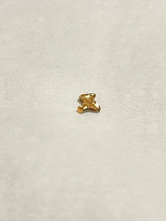 金歯　クラウン（金・貴金属）の商品画像 - 査定依頼日：2026年1月6日 - 最高査定価格：10,000円