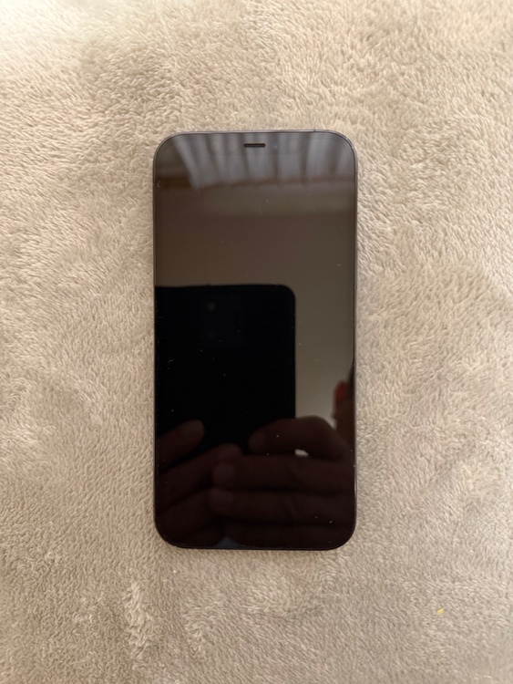 iPhone 12 Pro 256GB SIMフリー（スマホ）の商品画像 - 査定依頼日：2026年3月7日 - 最高査定価格：35,000円