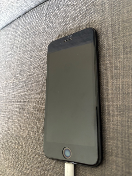 iPhone iPhone SE (第 2 世代) 64GB SIMフリー（スマホ）の商品画像 - 査定依頼日：2026年5月23日 - 最高査定価格：10,000円