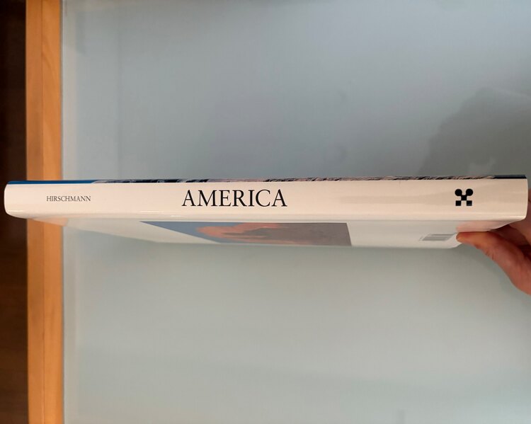 AMERICA（古本）の商品画像 - 査定依頼日：2025年4月16日 - 最高査定価格：1,000円