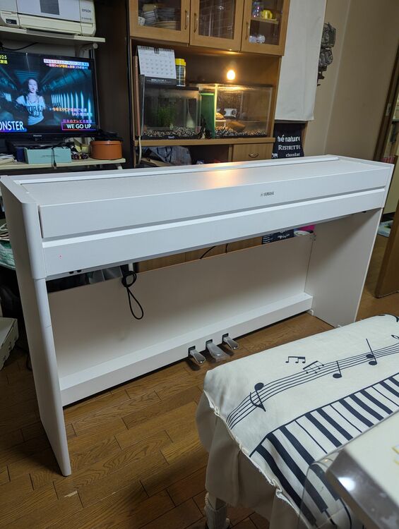 YDP-S54（ピアノ・楽器・PA機材）の商品画像 - 査定依頼日：2025年11月12日 - 最高査定価格：26,000円