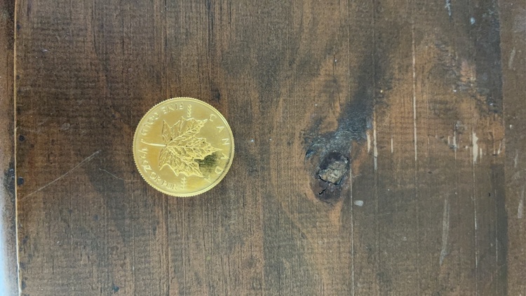 メープル金貨1/2オンス（金・貴金属）の商品画像 - 査定依頼日：2026年3月16日 - 最高査定価格：100,000円