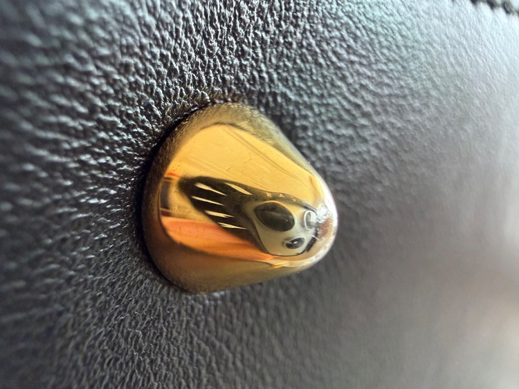 レディディオール（ブランドバッグ）の商品画像 - 査定依頼日：2026年1月30日 - 最高査定価格：230,000円