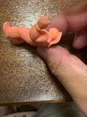 キン消し 募集超人 キン肉マンスーパーフェニックス　肌色　他多数（その他のおもちゃ）の商品画像 - 査定依頼日：2024年12月27日 - 最高査定価格：20,000円