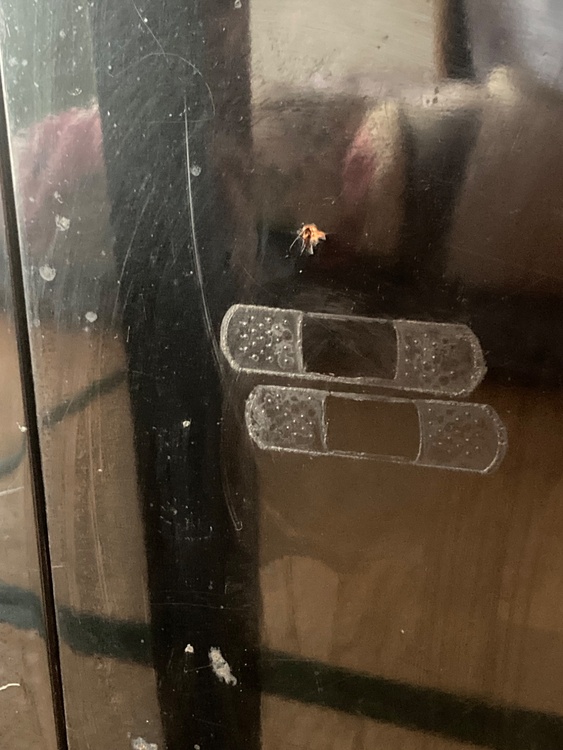 Ｕ3   813348です。（ピアノ・楽器・PA機材）の商品画像 - 査定依頼日：2026年2月20日 - 最高査定価格：5,000円