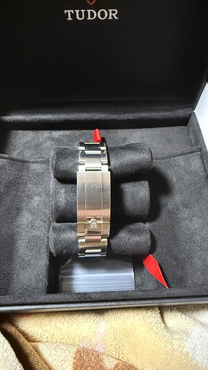 ブラックベイ58GMT（高級時計）の商品画像 - 査定依頼日：2026年3月16日 - 最高査定価格：530,000円